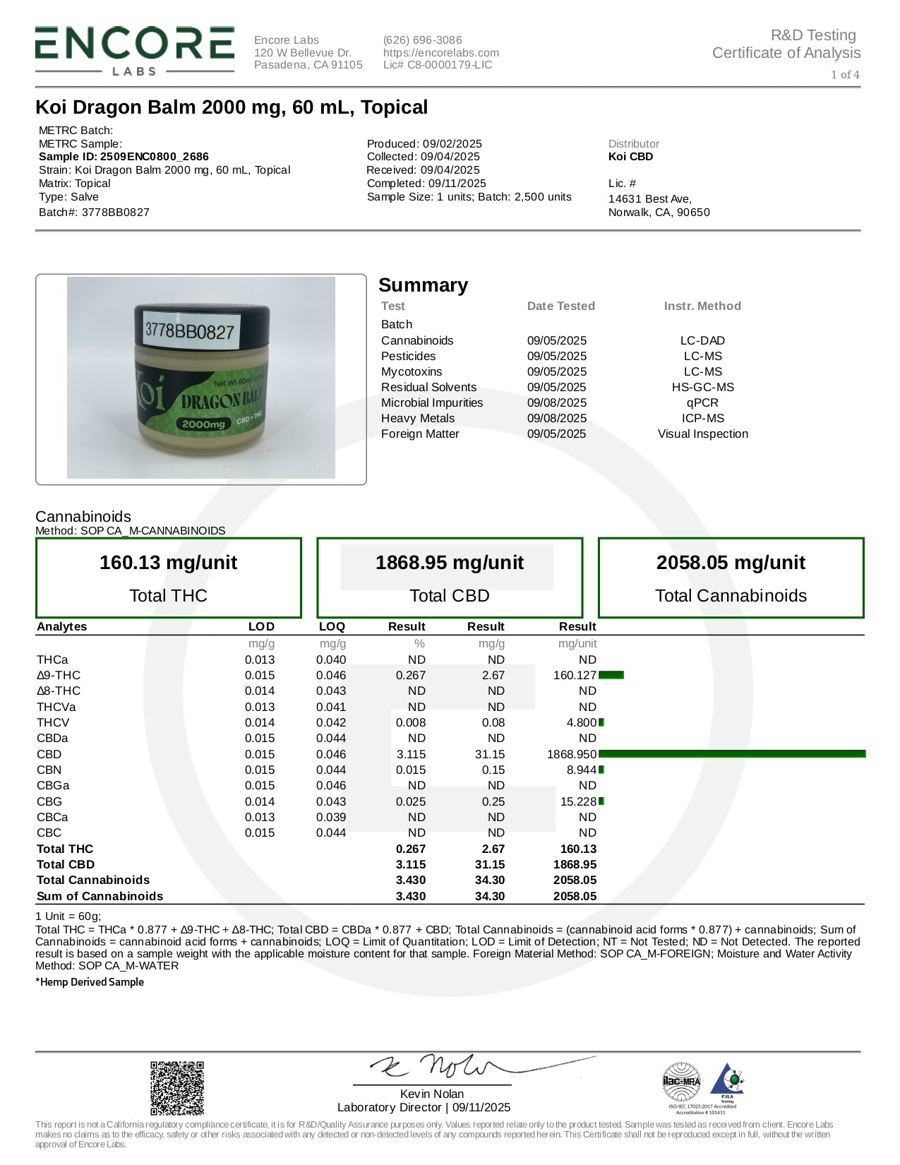 Dragon Balm 1ct/pk 6pk/box